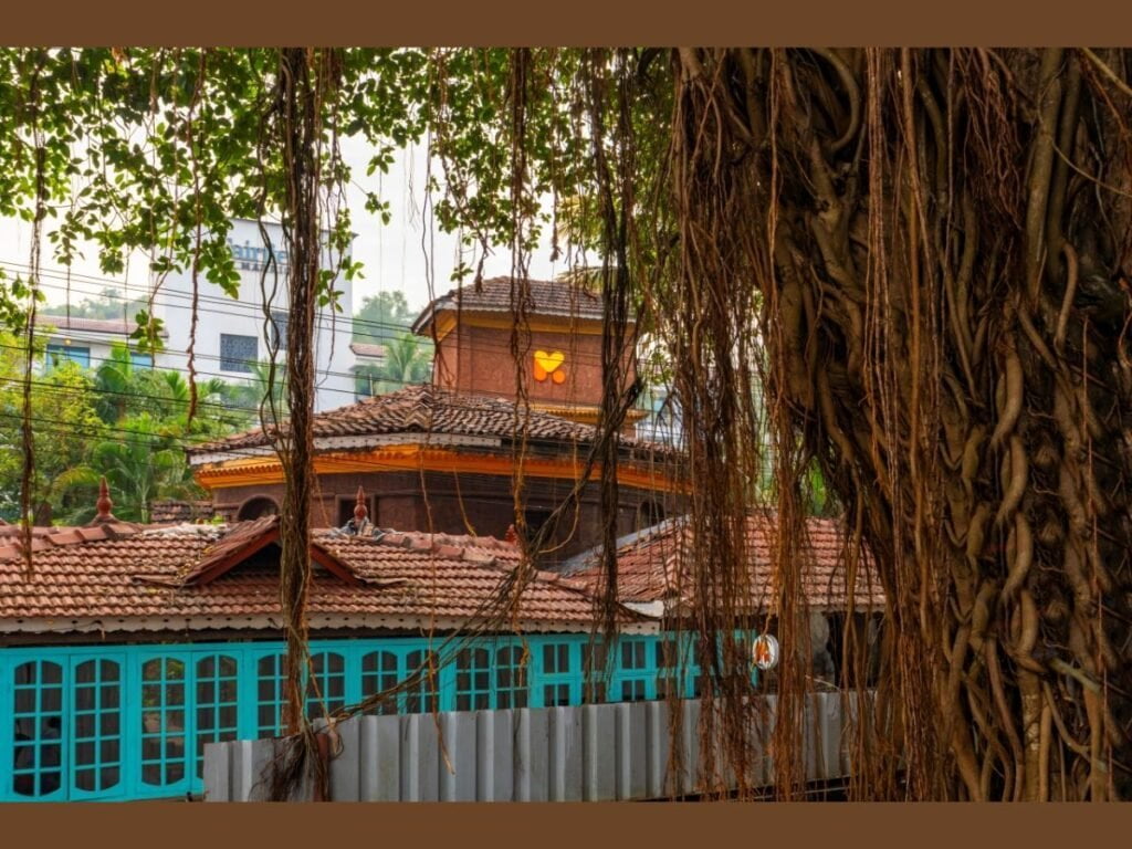 027382-Image-2-1024x768-1