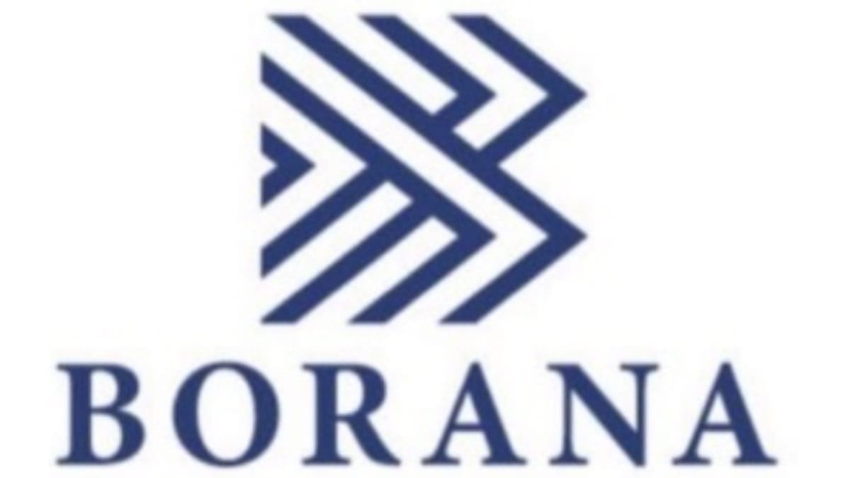 IMG-BORANA